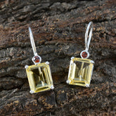 Alina Multicolor Dangle Earrings for Vibrant Style